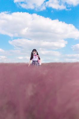免费观看电视剧？天美麻花星空影视10大热门剧集大盘点！